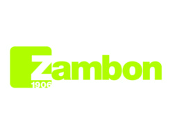 zambon_casehystory